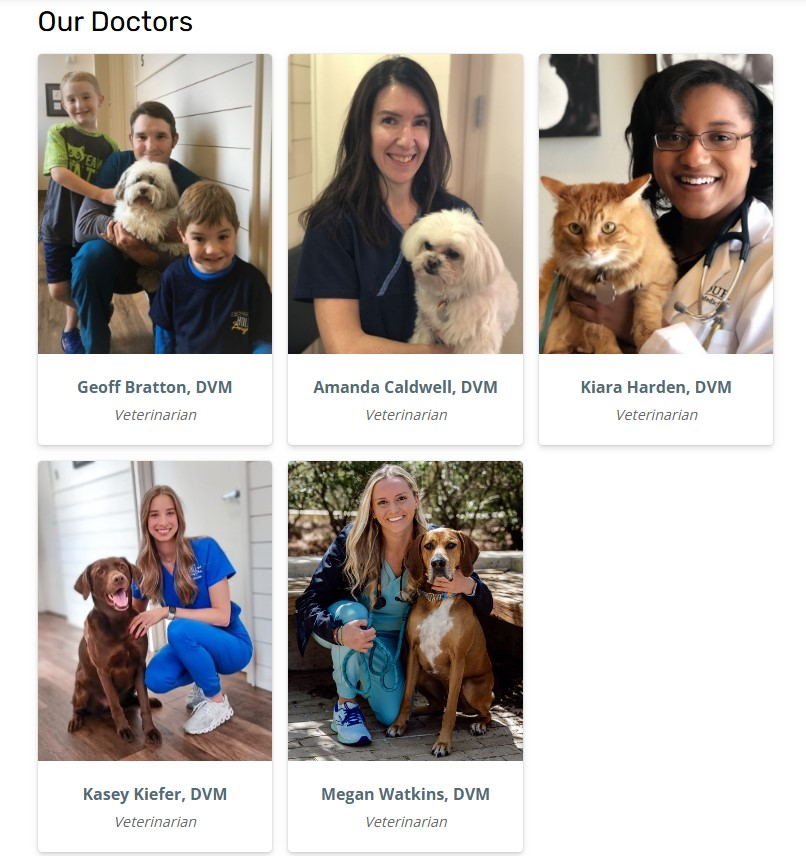 The veterinarians at Holt Veterinary Clinic in Dallas TX